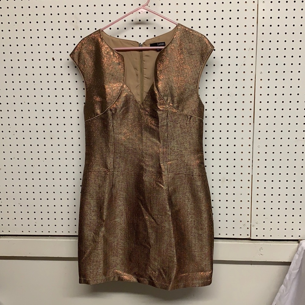 Rose gold dress from Ladakh (Urban Outfitters) US 8 UK 14